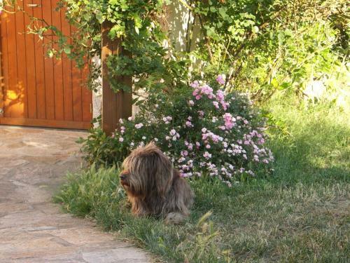 Bed & Breakfast Croix Blanche