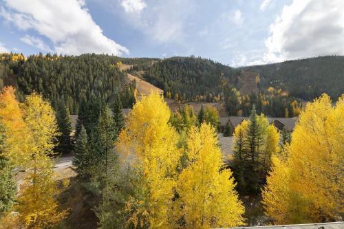 Apartamento 2767 Slopeside Condo