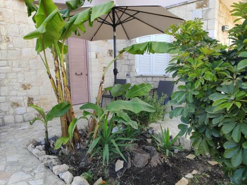 Xenia's Countryside Guesthouse