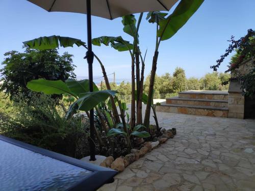 Xenia's Countryside Guesthouse