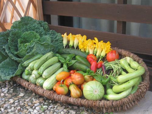 Agroturismo Agriturismo Vitalba