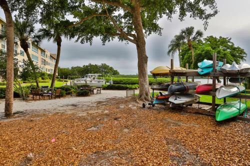 Longboat Palms