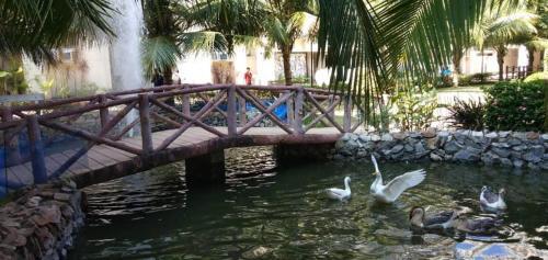 Insignis Beach Serviced Suites & Apartment Property 3