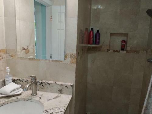 Tampa Bay Beautiful Apartment And Private Jacuzzi