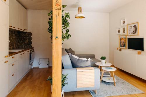 Apartm�n V Srdci Znojma ?jako Doma?