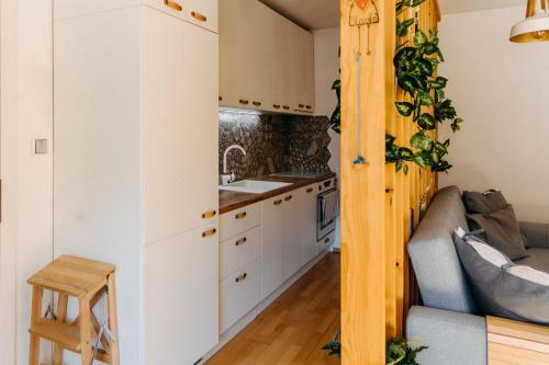 Apartm�n V Srdci Znojma ?jako Doma?