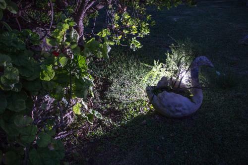 Villa Ida Bed & Breakfast