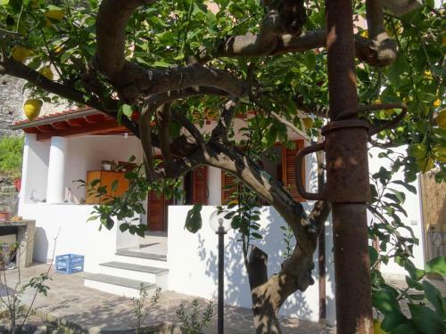 Apartamento Casa Sole