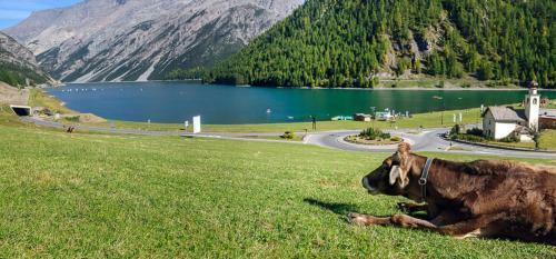 Apartamento Cardo Piccolo Chalet Il Cardo