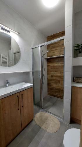 Apartament Wilczy Potok - Dream Apart