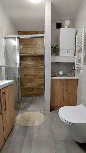 Apartament Wilczy Potok - Dream Apart