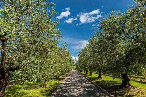 Agroturismo Quercia Belvedere Relais