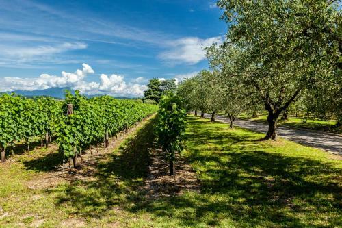 Agroturismo Quercia Belvedere Relais