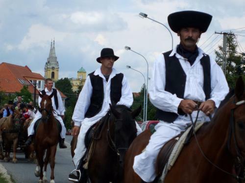 Bed & Breakfast R�zkakas Fogad�