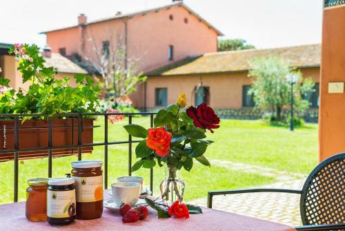 Agroturismo Agriturismo Podere Giulio