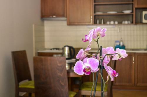 Aparthotel Thermal Park Hotel Egerszal�k