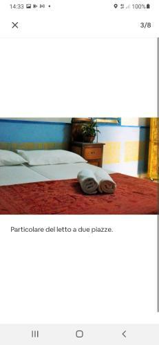 Apartamento Monolocale Al Centro Unico Fresco E Silenzioso