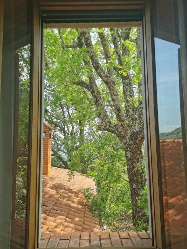 Bed & Breakfast L'albero Del Cioccolato