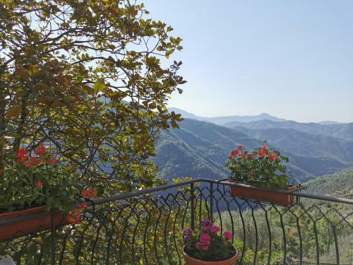 Bed & Breakfast L'albero Del Cioccolato