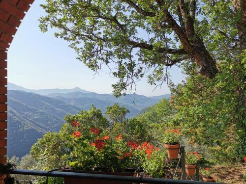 Bed & Breakfast L'albero Del Cioccolato