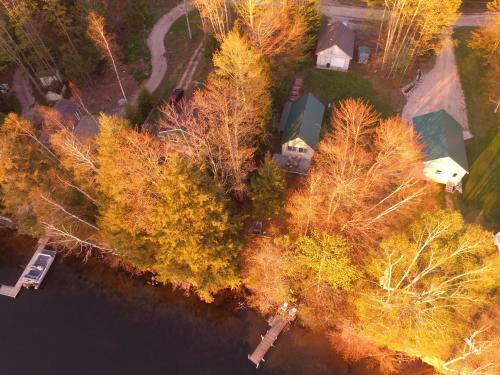 Coleman's Cabin