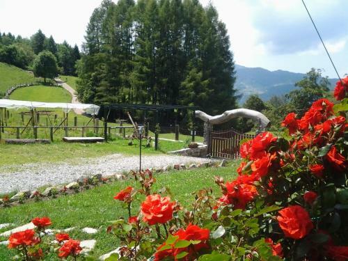 Agroturismo Agriturismo Le Radici