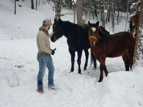 (quarter Horse Hideout ) One Of Two Units
