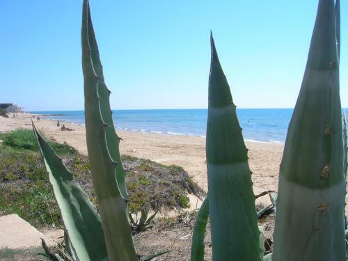 Apartamento Casa Vacanze Sogno Siciliano