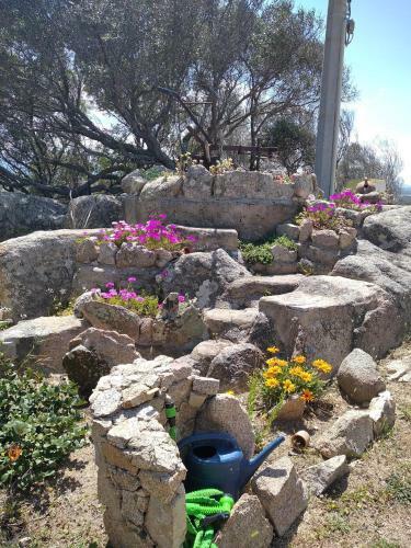 Apartamento B&B Li Salcuneddi