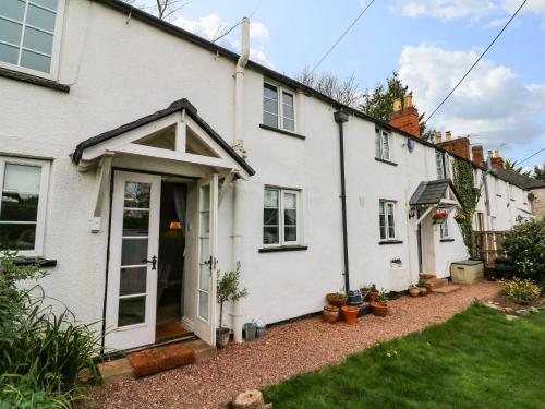 The Wing Swifts