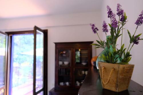 Villa Alice