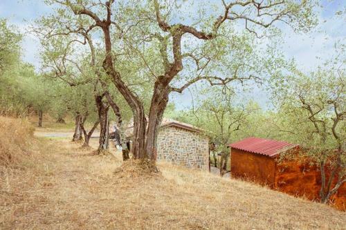 Agroturismo Il Capanno Di Battaglia