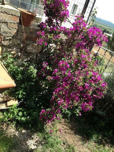 Apartamento Il Giardino Di Frullino.