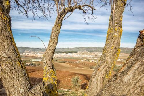 Agroturismo Cortijo Borreguero
