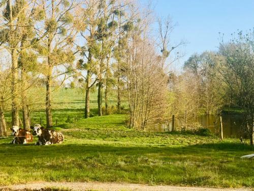 Bed & Breakfast Au Petit Bonheur De Claire Et Jo