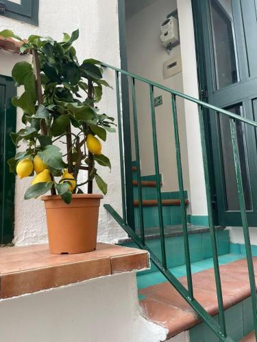 Apartamento Casa Di Flora