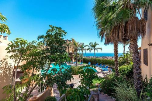 Tropical Hill - Ct 157