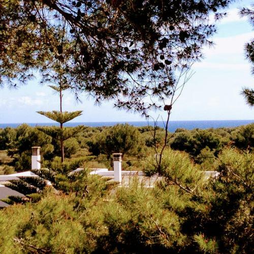Apartamento Coves Noves