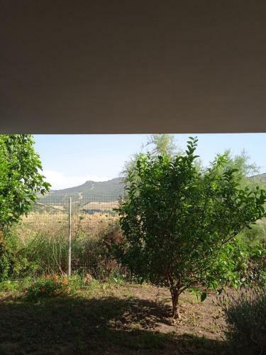 Apartamento Sardinia Home Rent Checco House