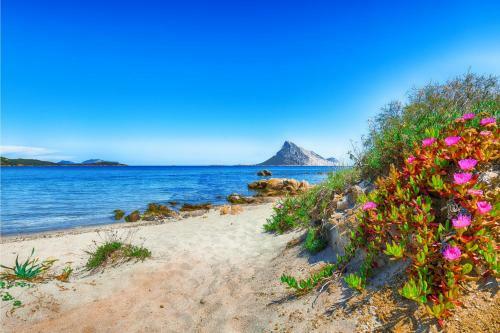 Apartamento Bilo Danilo Few Minutes From Sea