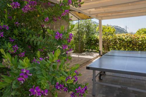 Apartamento Mimosa - Villa Luisa: Pace, Relax A 2 Passi Dal Mare