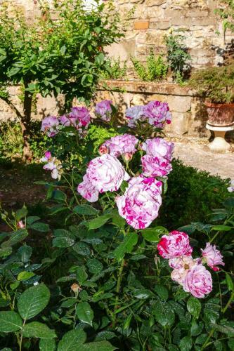 Apartamento La Casa Delle Rose