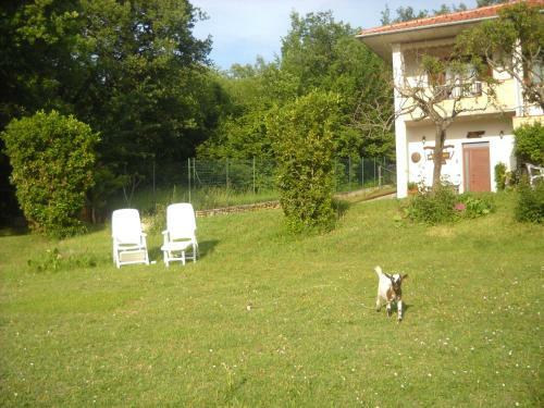 Bed & Breakfast Agriturismo La Conca Fonte S.croce