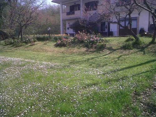 Bed & Breakfast Agriturismo La Conca Fonte S.croce