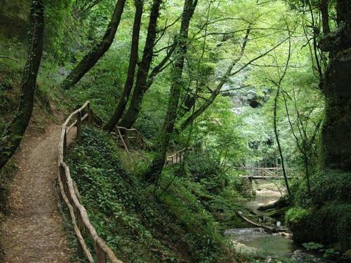Bed & Breakfast Agriturismo La Conca Fonte S.croce
