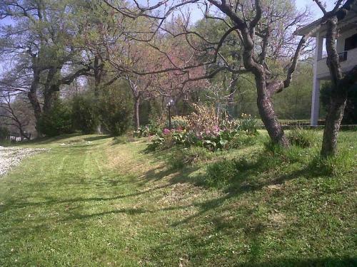 Bed & Breakfast Agriturismo La Conca Fonte S.croce