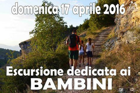 Bed & Breakfast Agriturismo La Conca Fonte S.croce