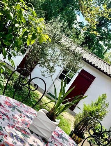 Hostal Studio R�nov� Pour 1 Ou 2 Voyageurs