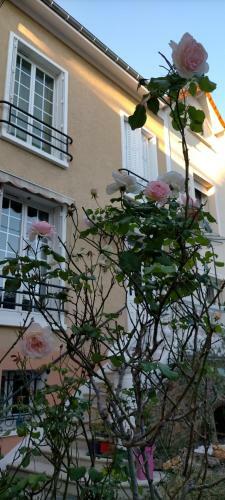 Chambre Chez L'habitant � Proximit� De Paris
