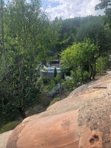 Apartamento Studio En Pierre Avec Jolie Piscine